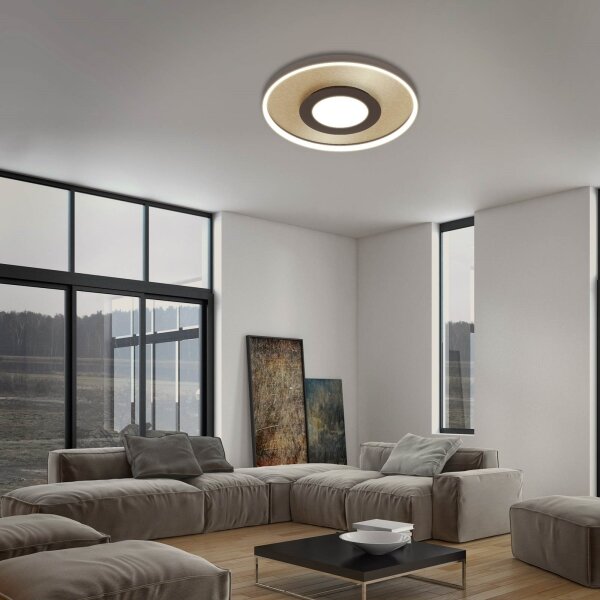 Briloner 3640017 - LED регулируемо таванно осветление LED/25W/230V 2700-6500K +