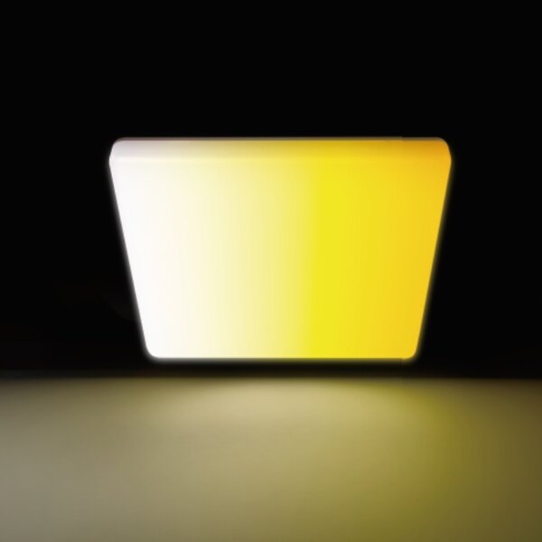 Aigostar - LED таванно осветително тяло за баня LED/18W/230V 3000K-6500K IP54 + дистанционно управление