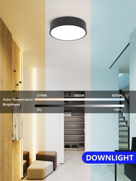 Immax NEO 07200L - LED Димируема лампа RONDATE LED/18W/230V черен Tuya + д.у