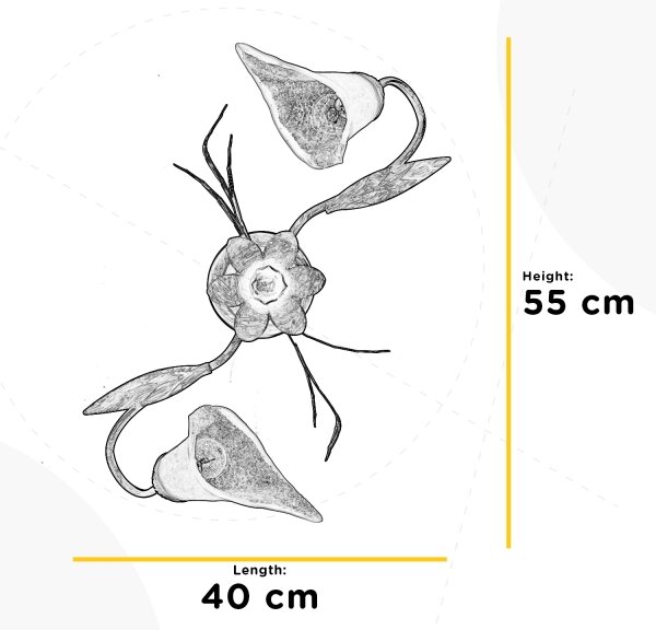 ONLI - Плафон ALGA 2xE14/6W/230V бронзов