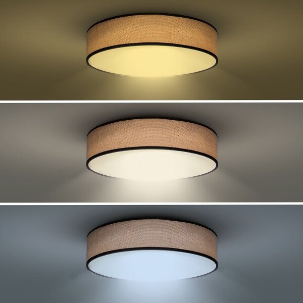 Solight WO8004 - LED осветително тяло BROWNIE LED/60W/230V 3000-6500K пр. 50 см