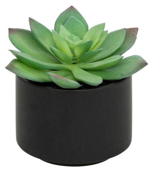 Изкуствено растение atmosphera Succulent, 13 cm, Различни видове