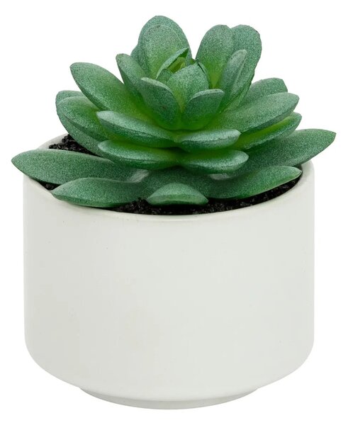 Изкуствено растение atmosphera Succulent, 13 cm, Различни видове