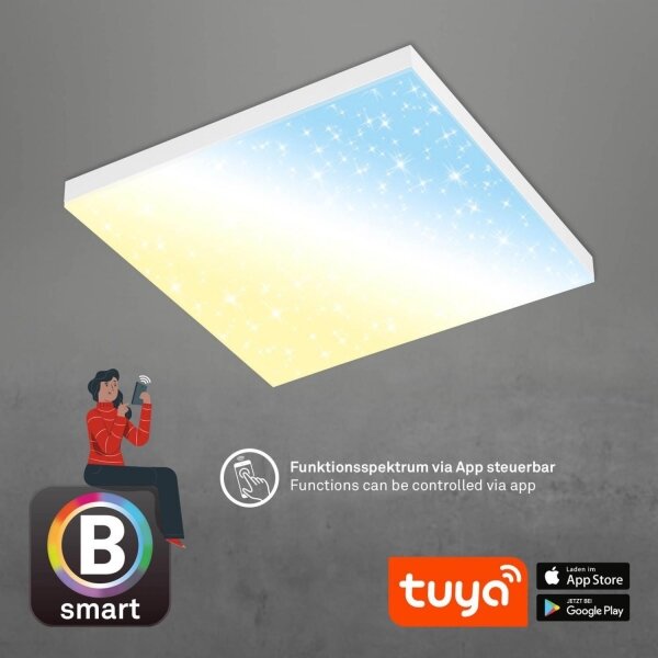 Brilo - LED Димируем плафон FRAMELESS LED/24W/230V Wi-Fi Tuya + д.у