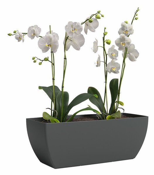 Саксия за цветя от рециклирана пластмаса 30 cm Siena – Artevasi