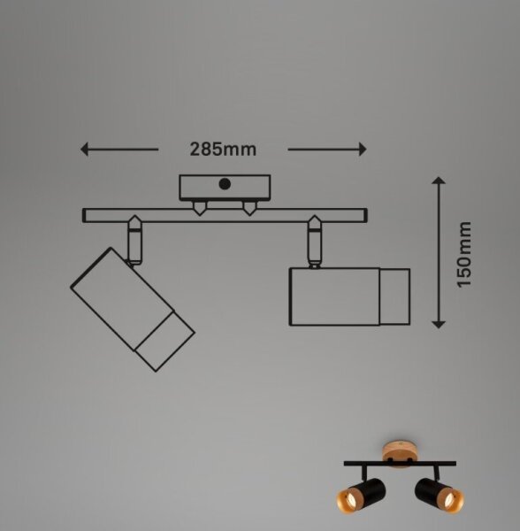 Briloner 2144025 - Спот SPOT 2xGU10/9W/230V