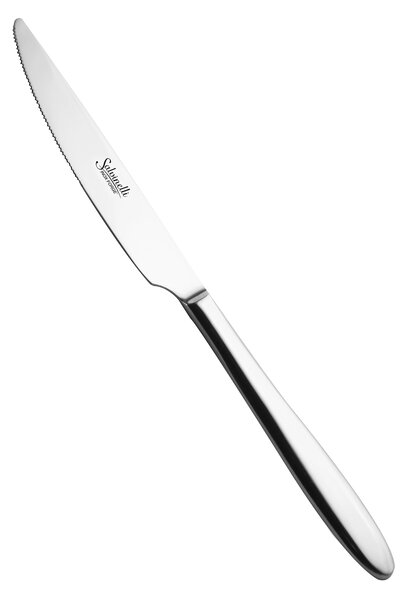 Комплект прибори Salvinelli FAST ICE, 24 части