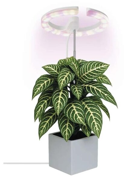 LED лампа с регулируема яркост за вътрешно отглеждане на растения GROW LED/8W/5V