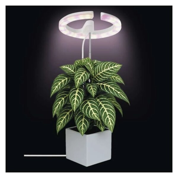 LED лампа с регулируема яркост за вътрешно отглеждане на растения GROW LED/8W/5V