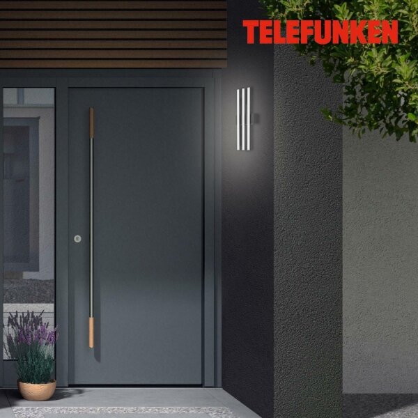 Telefunken 313105TF - LED Екстериорен аплик 3xLED/4W/230V IP44