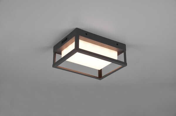 LED външна стенна лампа (височина 24 см) Witham - Trio