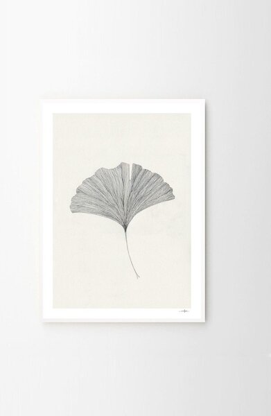 Постер 50x70 cm Ginkgo Leaf – Ana Frois – The Poster Club
