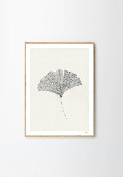 Постер 50x70 cm Ginkgo Leaf – Ana Frois – The Poster Club