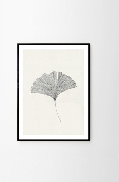 Постер 50x70 cm Ginkgo Leaf – Ana Frois – The Poster Club