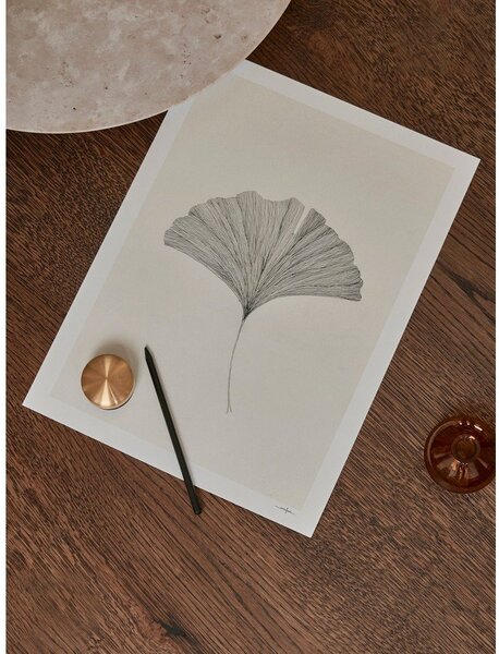 Постер 50x70 cm Ginkgo Leaf – Ana Frois – The Poster Club