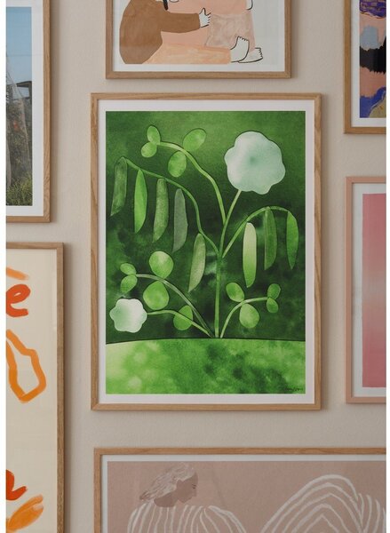 Постер 50x70 cm Peas in Bloom – Anna Ravn Bjørn – The Poster Club