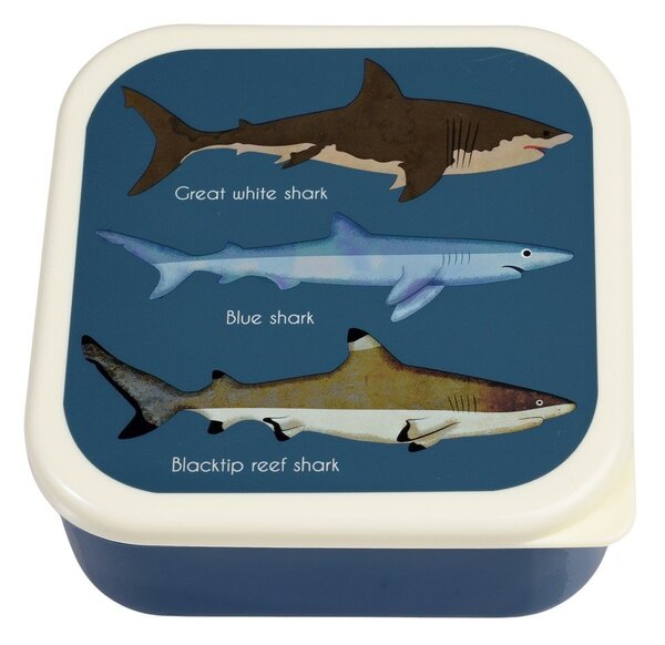 Тъмносини детски кутии за храна 3 бр. Sharks – Rex London