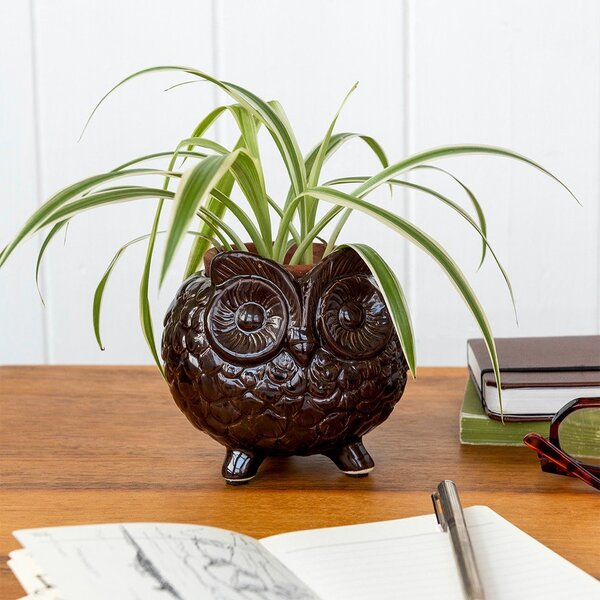 Керамично покритие за кашпа ø 11 cm Owl – Rex London