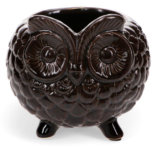 Керамично покритие за кашпа ø 11 cm Owl – Rex London