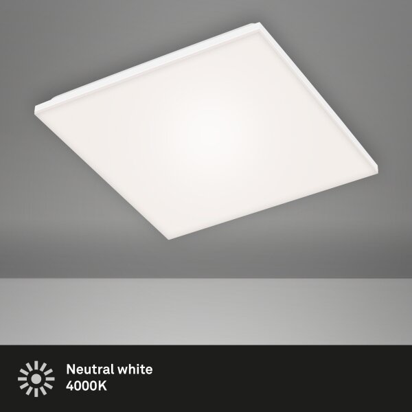 Briloner 7376-116 - LED Плафониера FRAMELESS LED/24W/230V