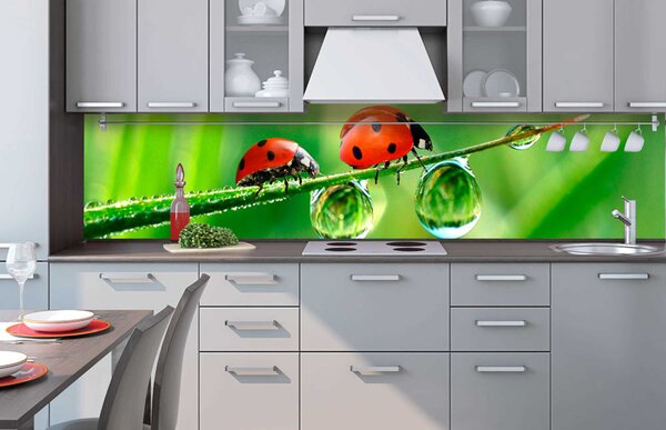 Фототапет за кухня - калинка 260 x 60 см