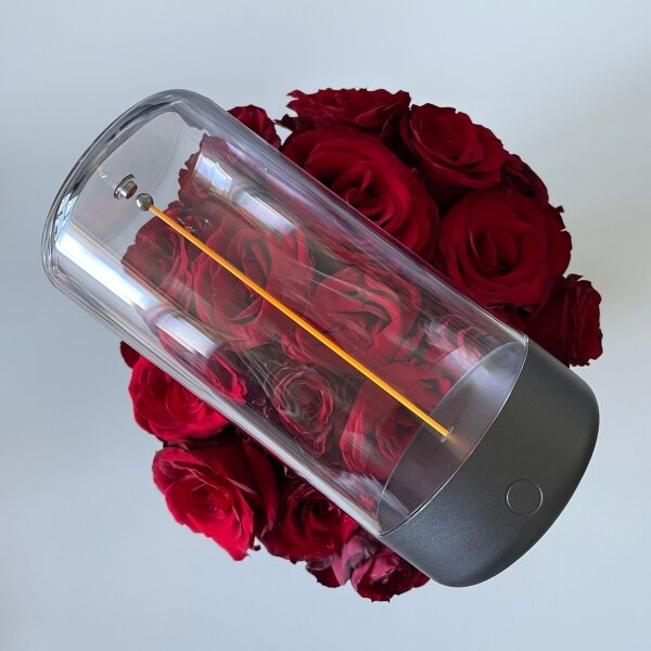 Zuma Line 1001 - LED регулируема презареждаема лампа ESTERNO LED/0,5W/230V IP54