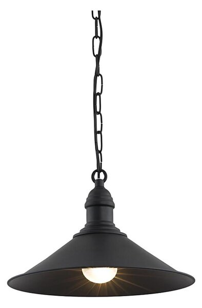 Argon 631 - Полилей на верижка ERBA 1xE27/60W/230V