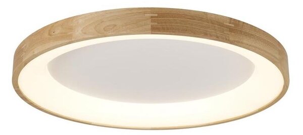 Azzardo AZ2698 - LED таванно осветително тяло SILVAM LED/50W/230V