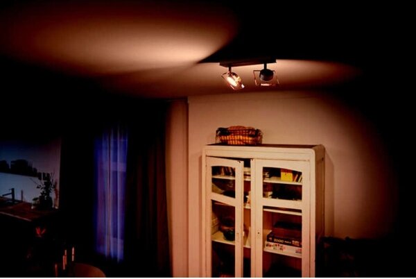 Philips 50482/17/PO - LED Точково осветително тяло GOLYGON 2xLED/4,5W/230V