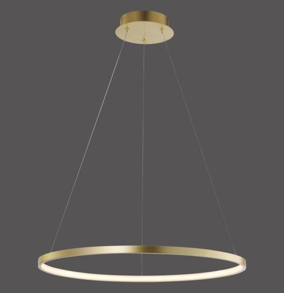 Leuchten Direkt 11524-12 - LED Полилей висящ на кабел CIRCLE LED/28,5W/230V