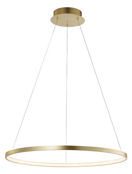 Leuchten Direkt 11524-12 - LED Полилей висящ на кабел CIRCLE LED/28,5W/230V