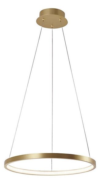 Leuchten Direkt 11522-12 - LED Полилей висящ на кабел CIRCLE LED/19W/230V