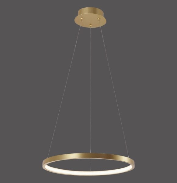 Leuchten Direkt 11522-12 - LED Полилей висящ на кабел CIRCLE LED/19W/230V