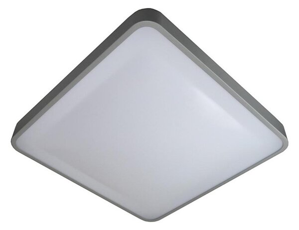 LED Плафониера WILTON LED/24W/230V сив