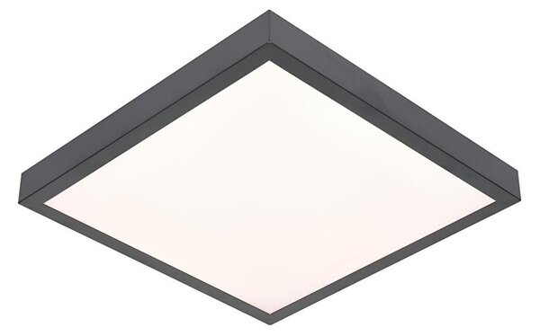 LED Лампа VITALI LED/24W/230V