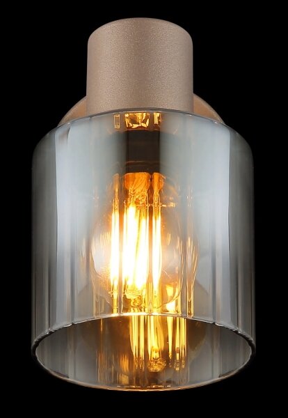 Globo 54318-1 - Стенно спот осветително тяло WALTON 1xE14/40W/230V