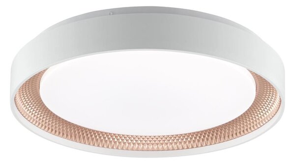 Brilliant - LED димируемо таванно осветително тяло WALDO LED/24W/230V бяло/розово злато + дистанционно управление