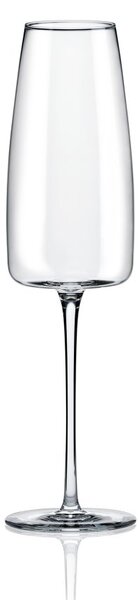 RONA ЧАШИ ЗА ШАМПАНСКО LORD 7023 340ML, 6БР
