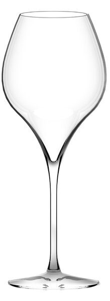 ITALESSE ЧАШИ ЗА ДЕГУСТАЦИЯ MASTERCLASS 230ML 6БР