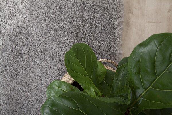 ABC VIVACE КИЛИМ BOLD GREY 230X160CM