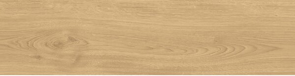ACS ГРАНИТОГРЕС WOULD SUGAR 22,5X90X8