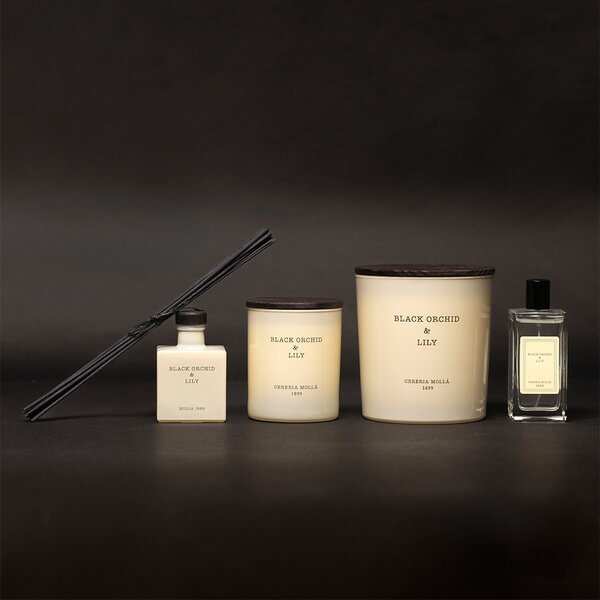 CERERIA MOLLA ЛУКСОЗЕН ДИФУЗЕР BLACK ORCHID&LILY