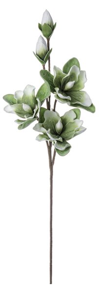 BIZZOTTO ИЗКУСТВЕНО ЦВЕТЕ MAGNOLIA 95CM ЗЕЛЕНО