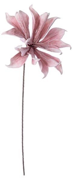 BIZZOTTO ИЗКУСТВЕНО ЦВЕТЕ WATER HYACINTH 98CM РОЗ