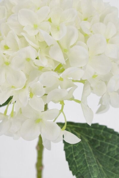 BIZZOTTO ИЗКУСТВЕНО ЦВЕТЕ HYDRANGEA CHERILYN 47 Б