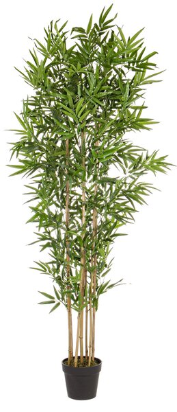 BIZZOTTO ИЗКУСТВЕНО РАСТЕНИЕ BAMBOO 185CM ЗЕЛЕНО