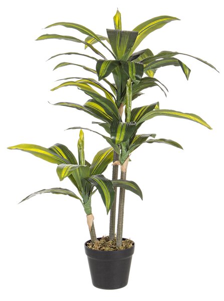 BIZZOTTO ИЗКУСТВЕНО РАСТЕНИЕ DRACENA 88CM ЗЕЛЕНО