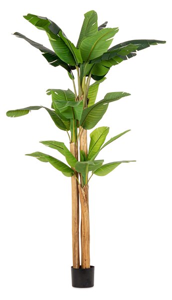 BIZZOTTO ИЗКУСТВЕНО РАСТЕНИЕ В САКСИЯ BANANA 280CM
