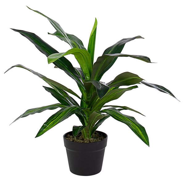 BIZZOTTO ИЗКУСТВЕНО РАСТЕНИЕ DRACENA 65CM ЗЕЛЕНО