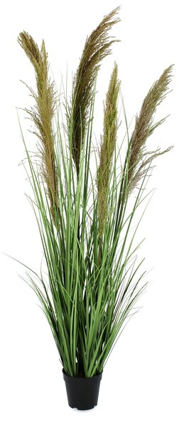 BIZZOTTO ИЗКУСТВЕНО РАСТЕНИЕ GREVILLEA 120CM ЗЕЛЕН